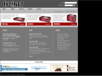 Dynamic Internet